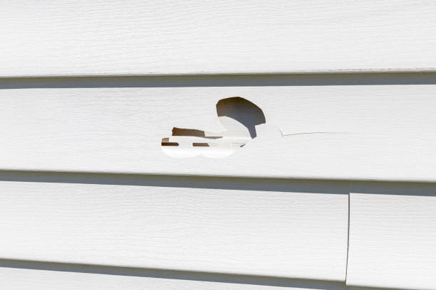 Best Insulated Siding Installation  in Stafford Springs, CT